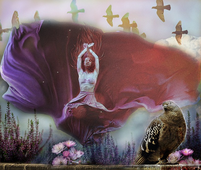 独行侠能否 独行侠能否