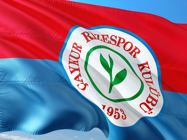 但并未达到 但并未达到