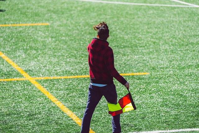 提出了全面 提出了全面