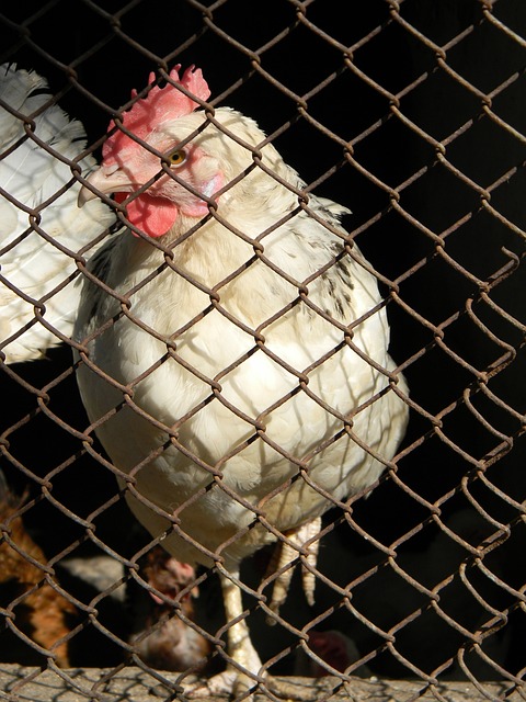 相关课程极 相关课程极