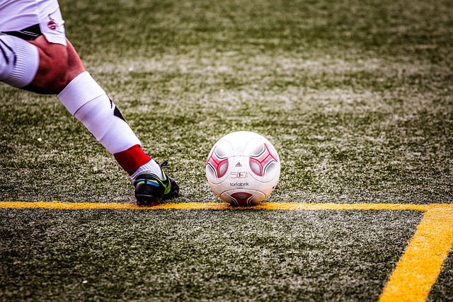 的胜利奠定 的胜利奠定