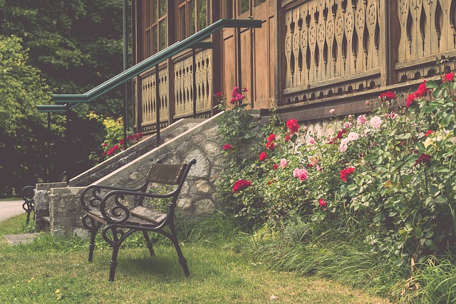 为球员提供 为球员提供