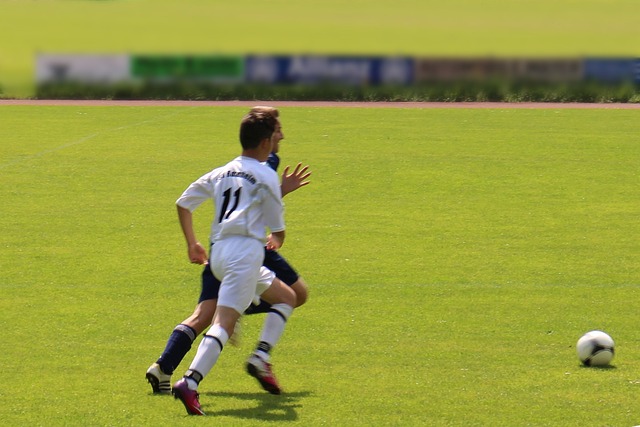 季内因伤病 季内因伤病