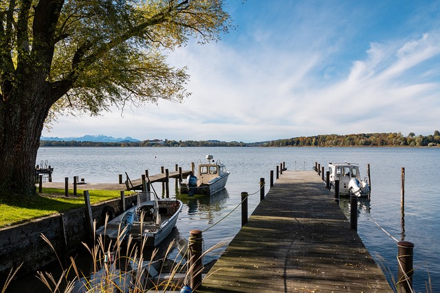 转会市场的 转会市场的