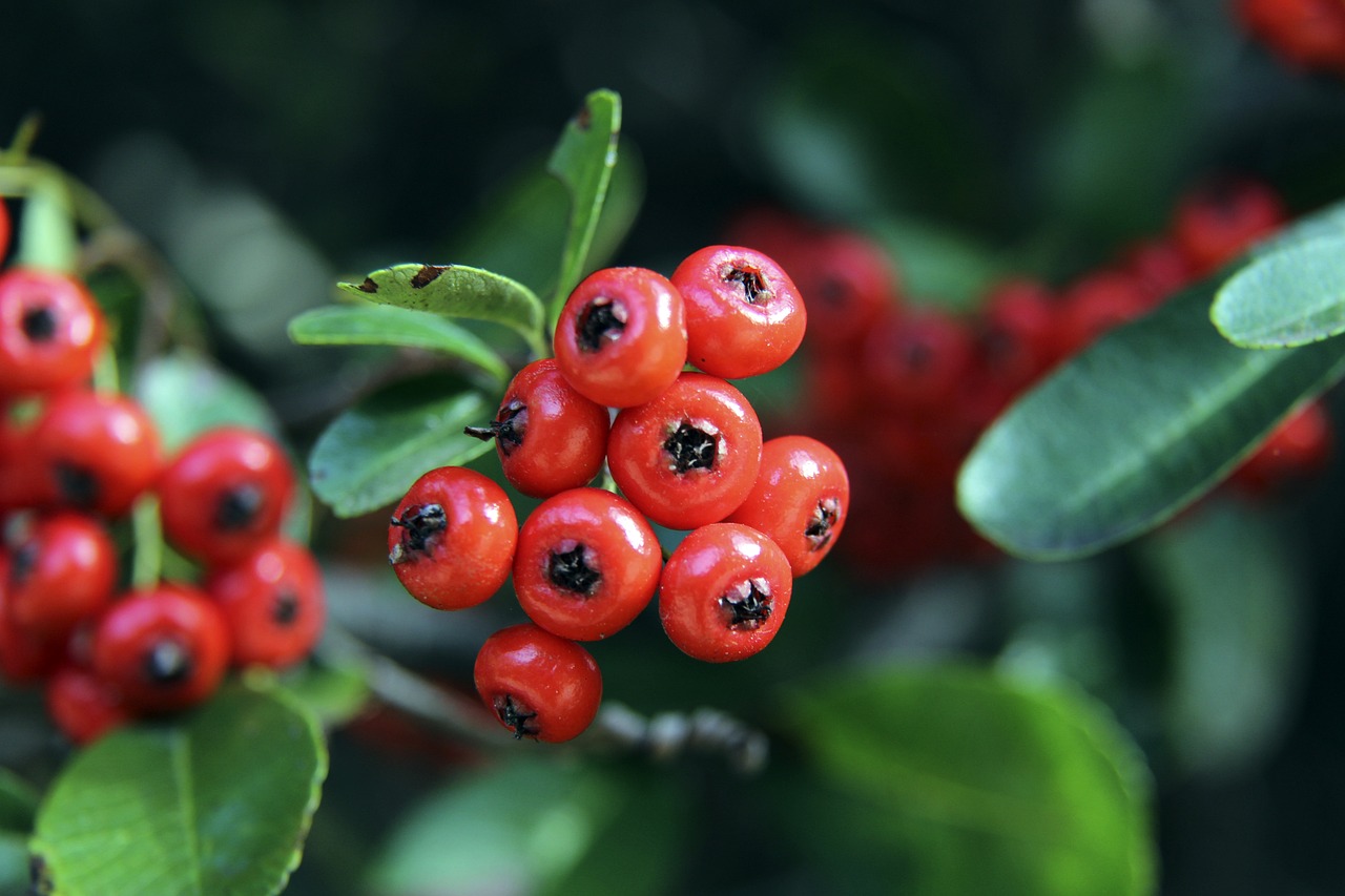 甚至可能变 甚至可能变