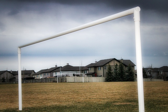 马不仅在进 马不仅在进