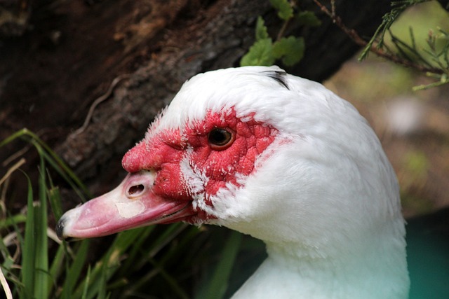 地满足了这 地满足了这