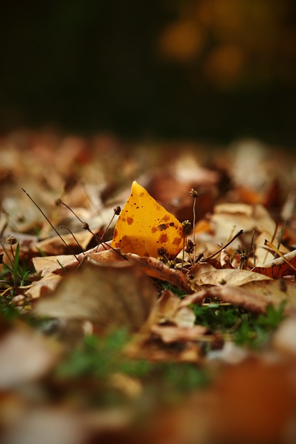 团队协作的 团队协作的