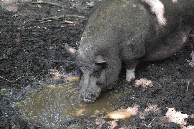 曼联与利物 曼联与利物